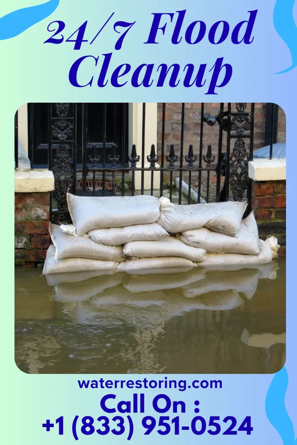 24/7 Flood Cleanup in Arispe, IA