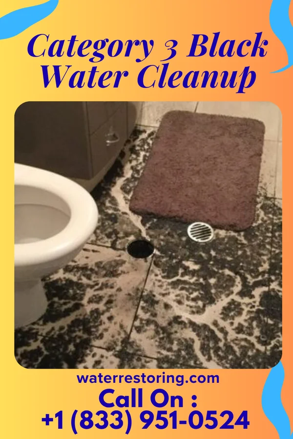 Category 3 Black Water Cleanup in Arispe, IA