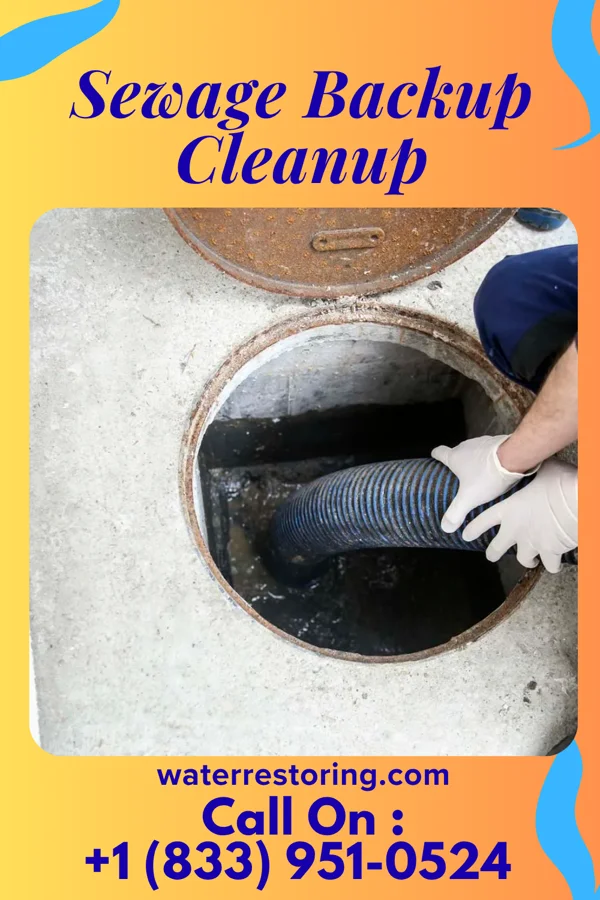 Sewage Backup Cleanup in Arispe, IA