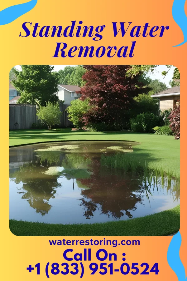Standing Water Removal in Arispe, IA
